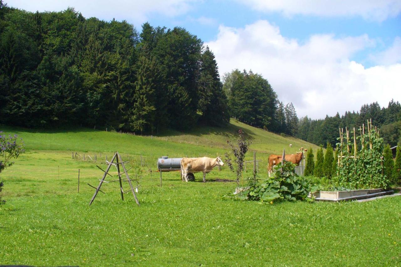 Ferienwohnungen Wanderparadies Aschau im Chiemgau Exterior photo